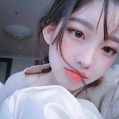 宠物星球测试服下载