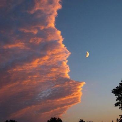 点点消宝藏手机版下载