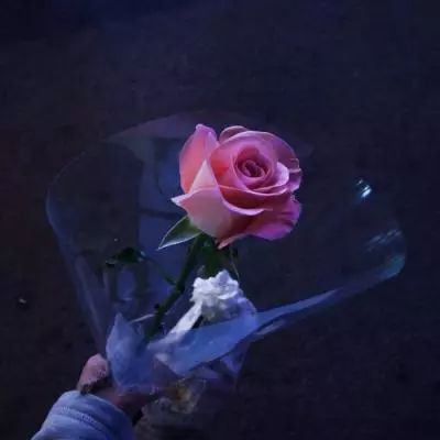 星球大战指挥官手机版下载